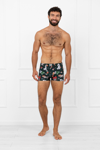 Мъжки боксерки Husky Italian Fashion, зелени - памук, еластан, коледен мотив