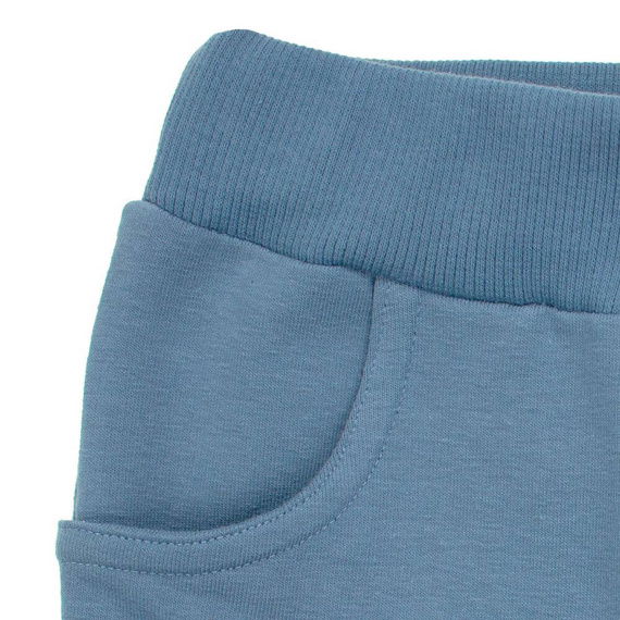 169543 Анцуг Nicol - син