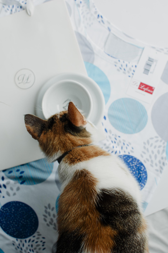 860 Amelia De Lafense нощница - къс ръкав, мека вискоза - тюркоаз