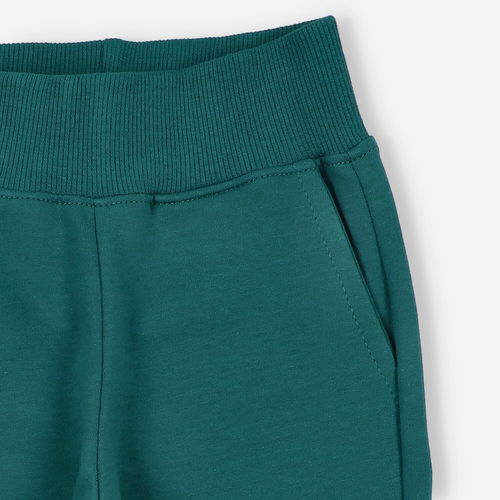 KAR-0042/BUT Карго панталон за момче Lagarto Verde bottle green