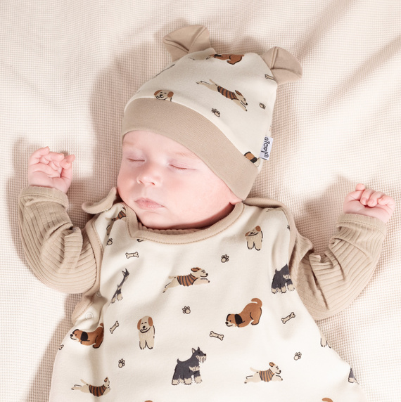 215055 Еди Шапка с ушички Никол