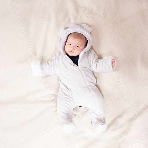 219270 Willy изолиран анцуг клоун Никол – сив с халка и уши