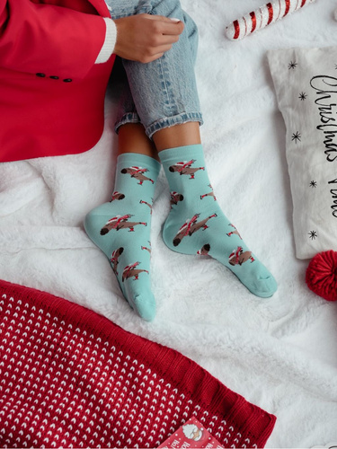 1283.041 Чорапи Capybara Skating Milena – Дамски коледни, бежови