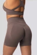 Сив