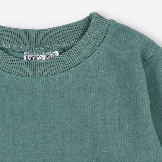 KAR-1020 Блуза с дълъг ръкав Lagarto Verde за момче, зелена - памук с еластан, полско производство