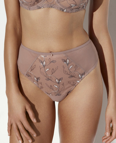 Ava 2273 Mocha Mousse Дамски класически бикини с бродерия и мрежа