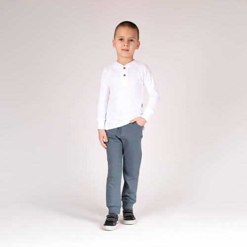 169547 Анцуг Nicol - сив