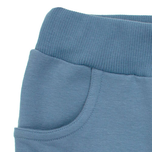 169543 Анцуг Nicol - син