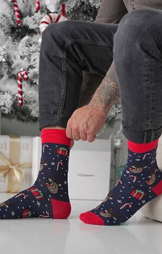 1290-028 Renide Zgrywus Мъжки чорапи Милена - тъмносини