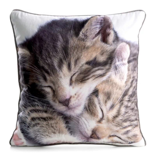 Калъфка Animal 45x45 кадифе Eurofirany със цип cat