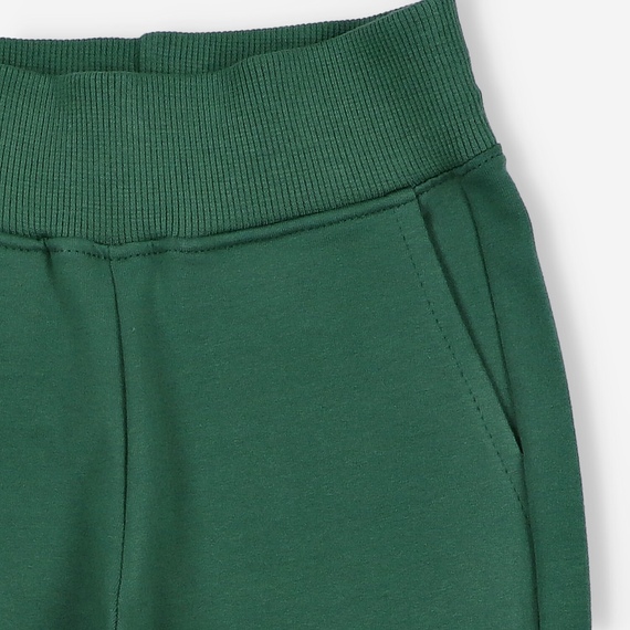 KAR-0042/ZIE Карго спортен панталон за момче Lagarto Verde зелен