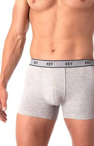 MXH 222 Key мъжки боксерки - сиви