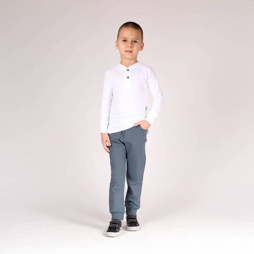 169547 Анцуг Nicol - сив