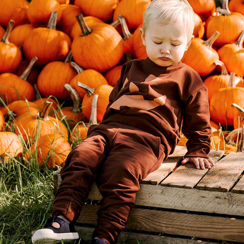 Детски анцуг Eevi Halloween, кафяв - топъл комплект, суитшърт и панталон