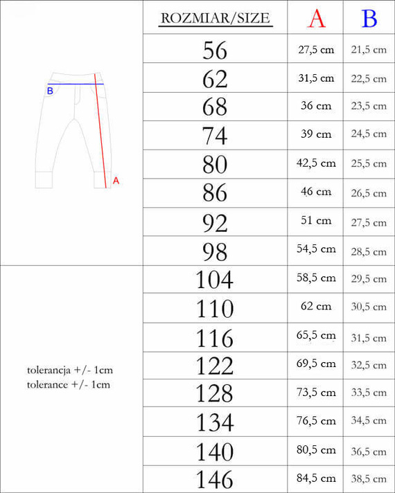 169543 Анцуг Nicol - син