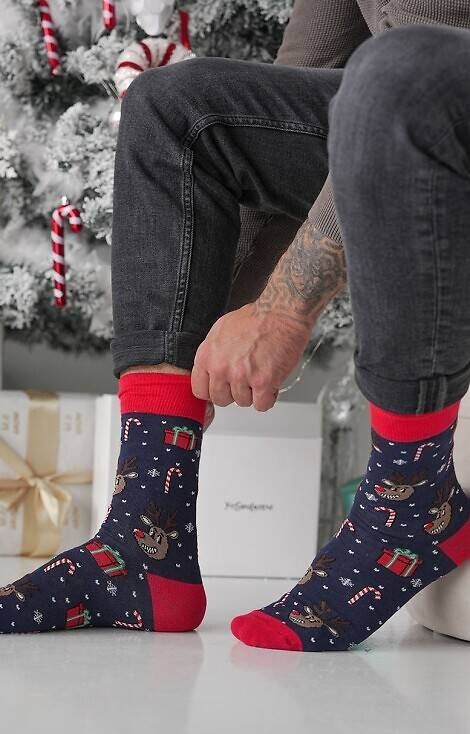 1290-028 Renide Zgrywus Мъжки чорапи Милена - тъмносини