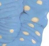 998 Детски халат с папийонка Forex - син