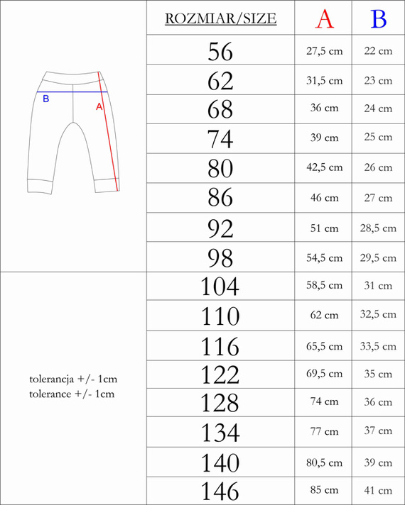 215275 Спортен панталон Eddy Nicol
