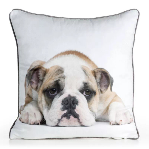 Калъфка Animal 45x45 кадифе Eurofirany със цип buldog 