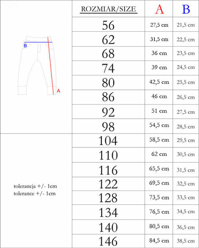 169539 Анцуг Nicol - бордо