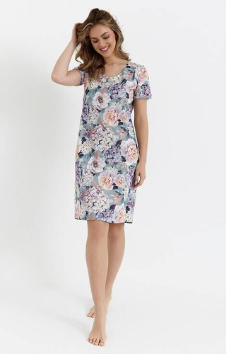 466 Cana нощница - салвия