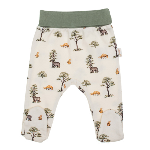 218009 Yogi Bear Полуспалка памук Никол – горски десен