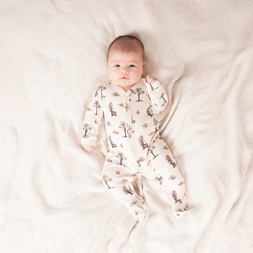 218031 Yogi Bear Clown Nicol памук – горска шарка, дълги ръкави